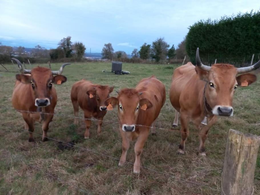 Casa Con Finca En Oviedo El Casero Εξωτερικό φωτογραφία